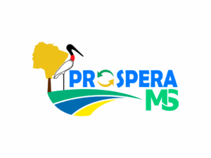 Prospera MS